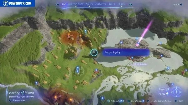 《阿凡达潘多拉边境》塔休幼苗位置汇总 塔休幼苗收集攻略