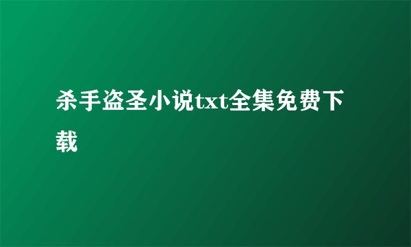 杀手盗圣小说txt全集免费下载