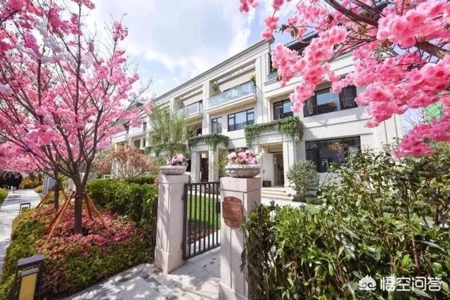 合肥滨湖周边几何楼盘，中海九樾，荣盛华府，金鹏，以及一些其？