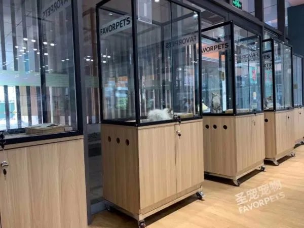 开宠物店需要什么手续和证件？