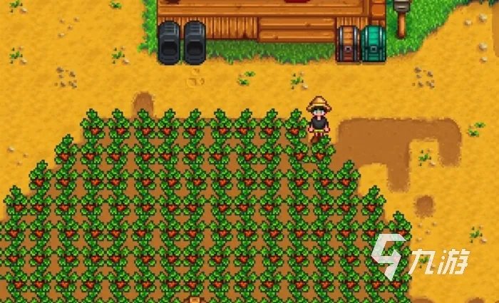 星露谷物语13天种的草莓几号收 草莓种植技巧一览