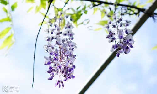 教师节感人祝福语150句_教师节藏头诗祝福语