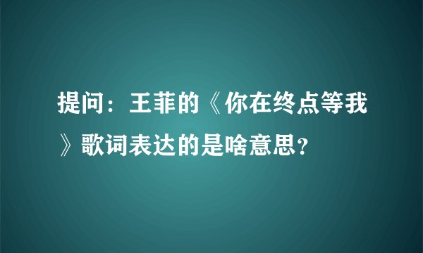 提问：王菲的《你在终点等我》歌词表达的是啥意思？