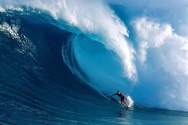 你见过哪些“不作死就不会死”的故事？