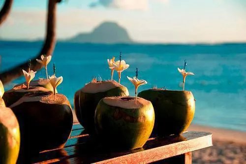 岁月是朵两生花番外完整版 岁月是朵两生花旧版番外