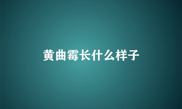 黄曲霉长什么样子