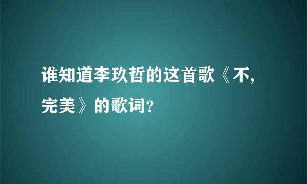 谁知道李玖哲的这首歌《不,完美》的歌词？