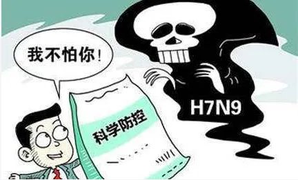 H7N9进入高发期要怎么预防？