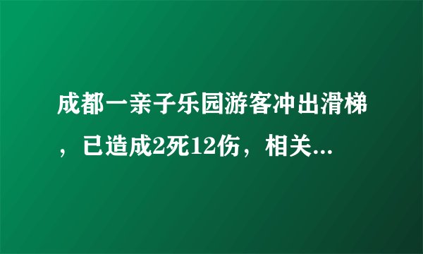 成都一亲子乐园游客冲出滑梯，已造成2死12伤，相关负责人被控制, 你怎么看？