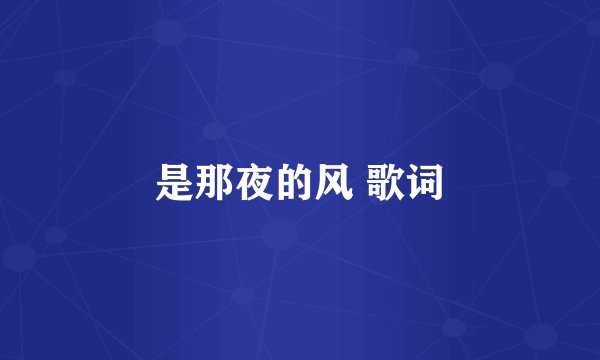 是那夜的风 歌词