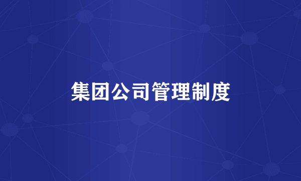 集团公司管理制度