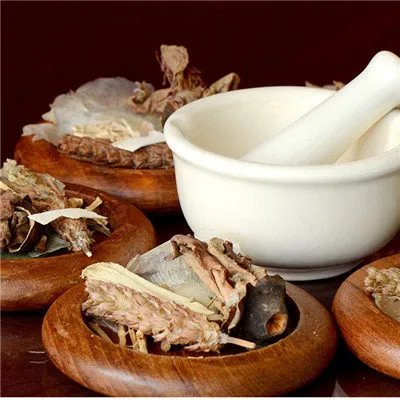 毛冬青叶的功效与作用及禁忌？