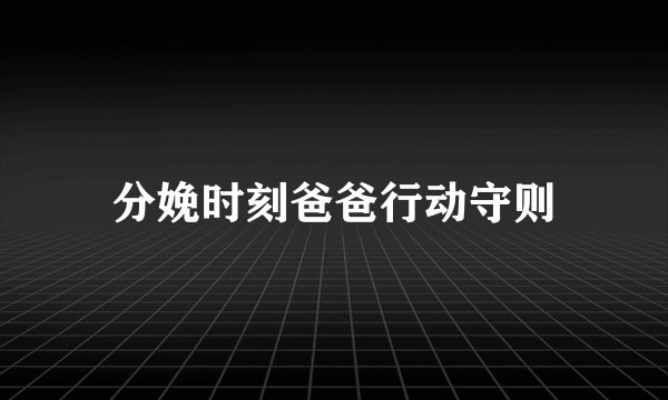分娩时刻爸爸行动守则