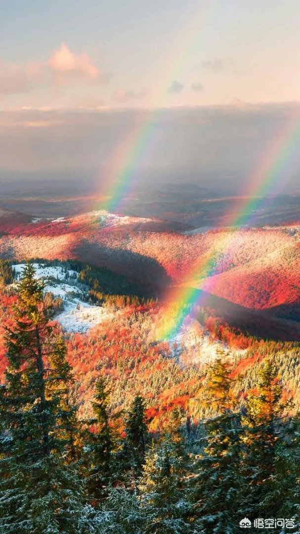 滴滴司机24年寻女,社会媒体高度关注,对此你怎么看?