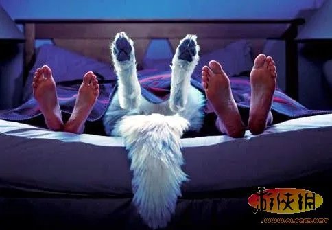 荒唐！小三与夫妻同睡 网友称如此厚脸皮很少见