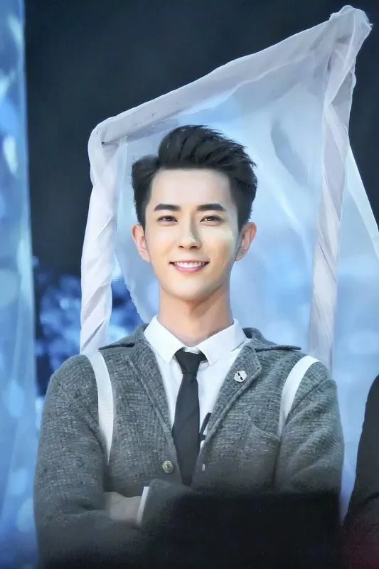 本是《快乐男声》出道,为何于朦胧到现在都不火?