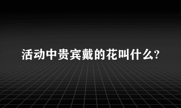 活动中贵宾戴的花叫什么?