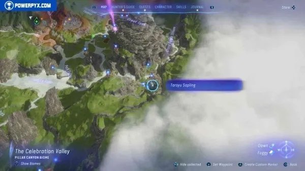 《阿凡达潘多拉边境》塔休幼苗位置汇总 塔休幼苗收集攻略