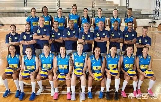 巴西队女排全部名单