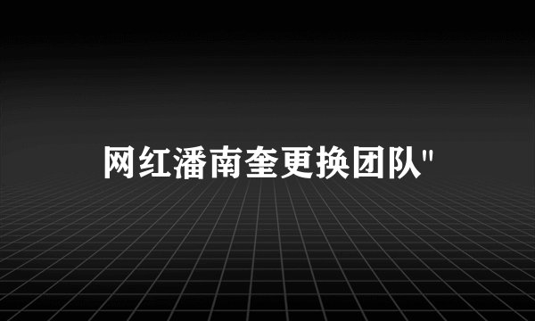网红潘南奎更换团队