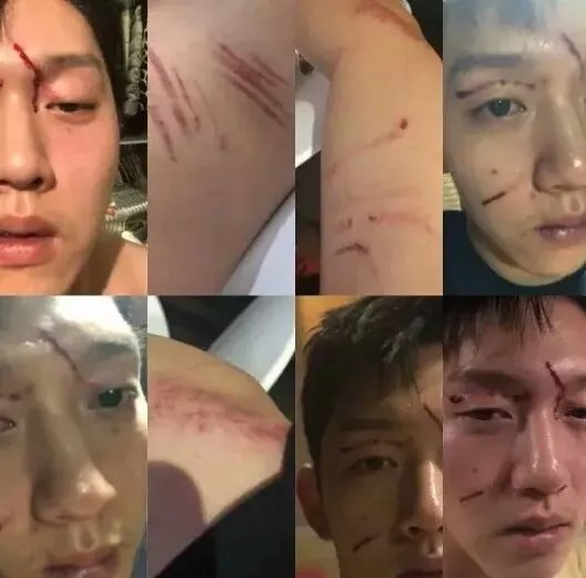 具荷拉男友是谁？为什么两人会家暴？