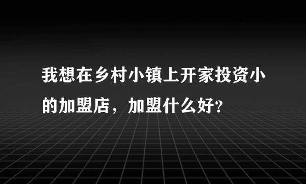 我想在乡村小镇上开家投资小的加盟店，加盟什么好？