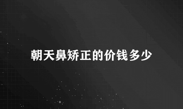 朝天鼻矫正的价钱多少