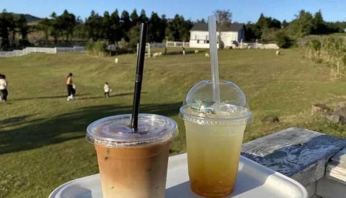 秋天的第一杯奶茶是什么含义 秋天的第一杯奶茶是什么意思