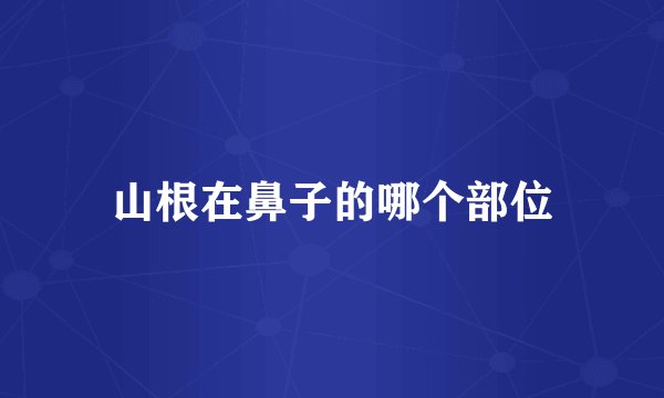山根在鼻子的哪个部位