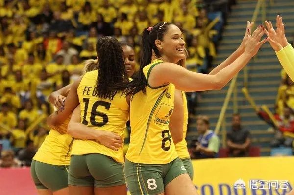 巴西队女排全部名单