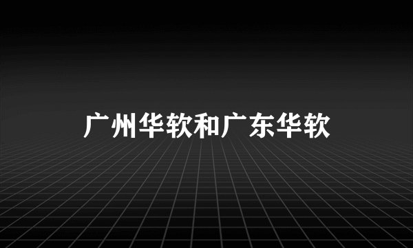 广州华软和广东华软