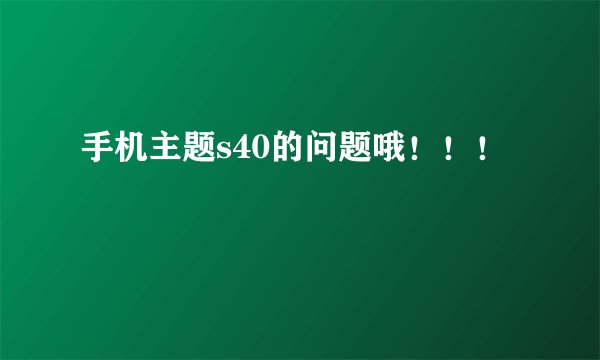 手机主题s40的问题哦！！！