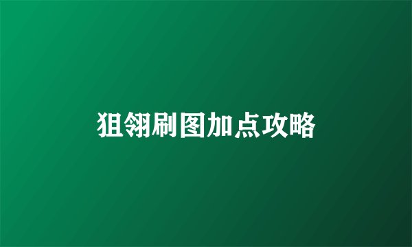 狙翎刷图加点攻略