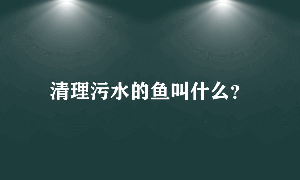 清理污水的鱼叫什么？