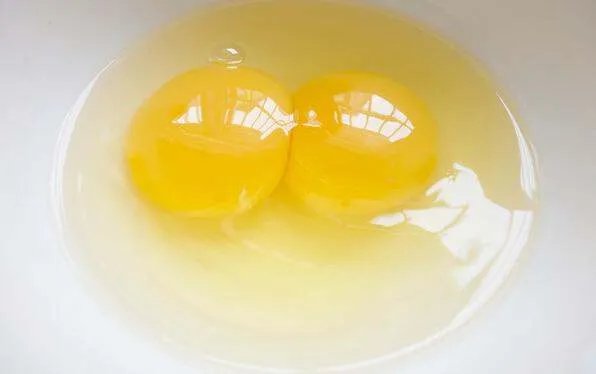 鸡总下双黄蛋是什么原因