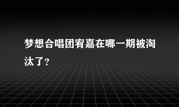 梦想合唱团宥嘉在哪一期被淘汰了？