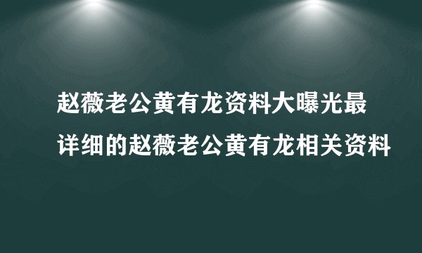 赵薇老公黄有龙资料大曝光最详细的赵薇老公黄有龙相关资料