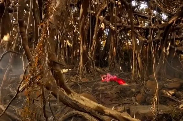 蔡依林新mv变换多套造型，你最喜欢哪套造型?