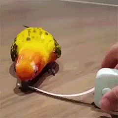 美女你再不开枪我可开枪了 动图 是不是你用AI补全的?