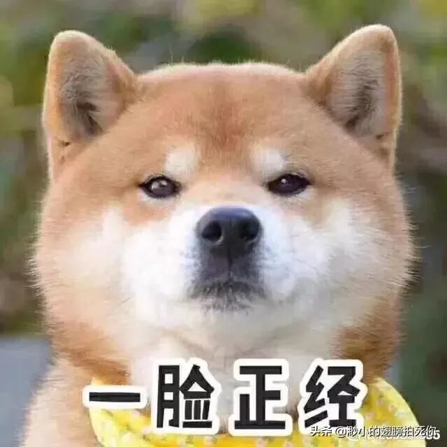 1965年黄河巨鳖事件是不是真实的？有何依据？