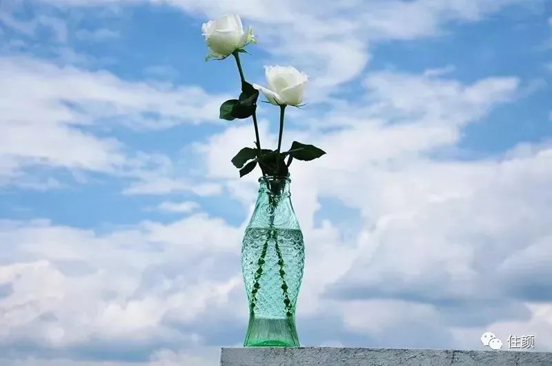 2019 最走心礼物排行榜