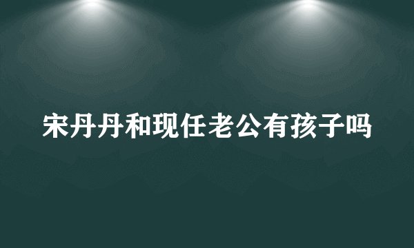 宋丹丹和现任老公有孩子吗