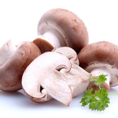 普洱茶怎么喝减肥