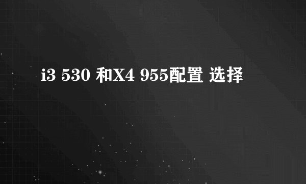 i3 530 和X4 955配置 选择