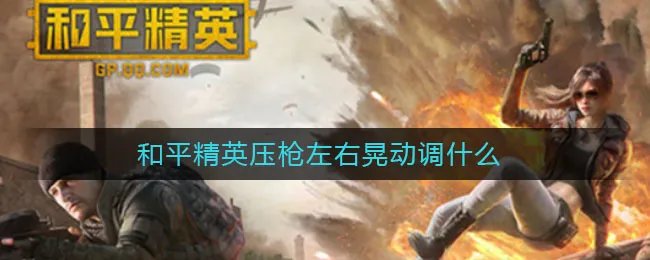 和平精英压枪左右晃动调什么