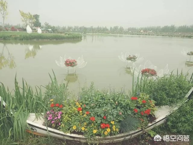 如果嫁给一个不爱的人，婚姻到底会有多悲催？