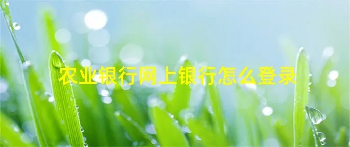 农业银行网上银行怎么登录
