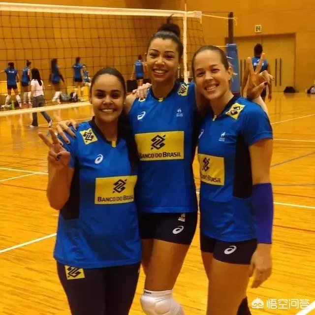 巴西队女排全部名单