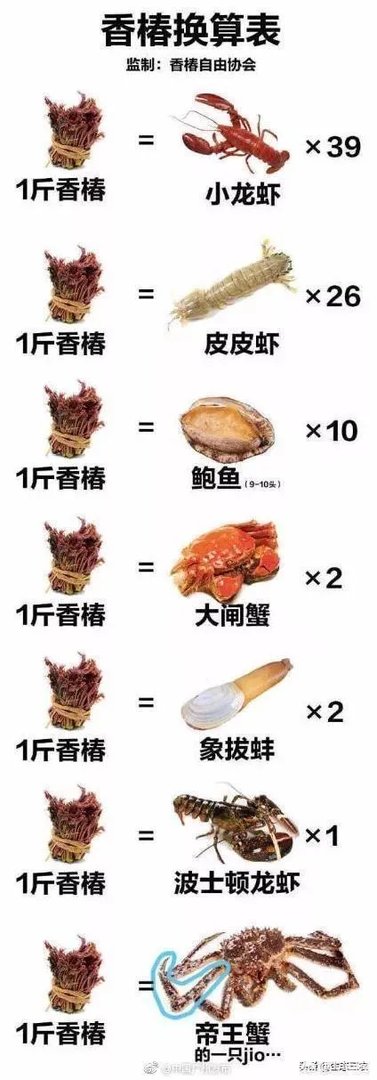 春芽树和香椿的区别