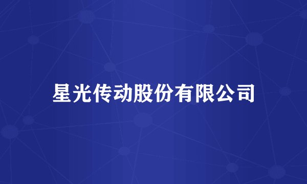 星光传动股份有限公司
